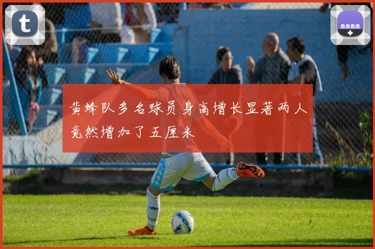 黄蜂队多名球员身高增长显著两人竟然增加了五厘米