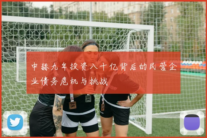 中赫九年投资八十亿背后的民营企业债务危机与挑战