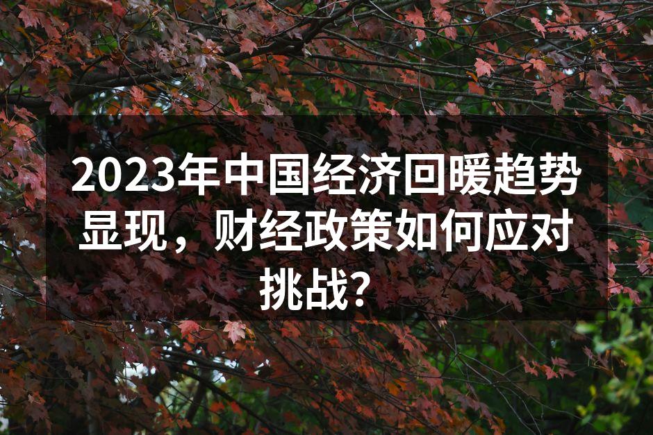 2023年中国经济回暖趋势显现，财经政策如何应对挑战？