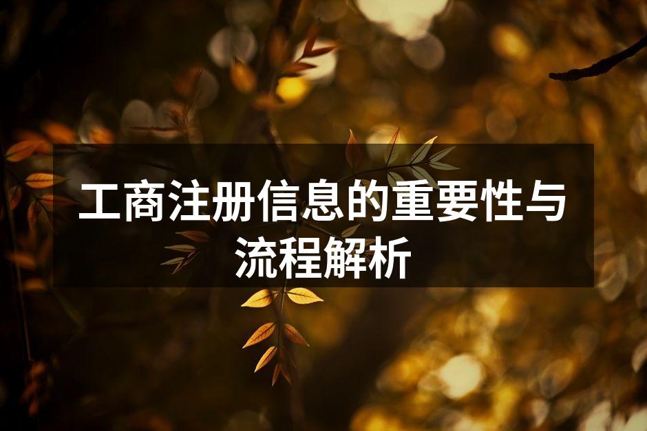 工商注册信息的重要性与流程解析