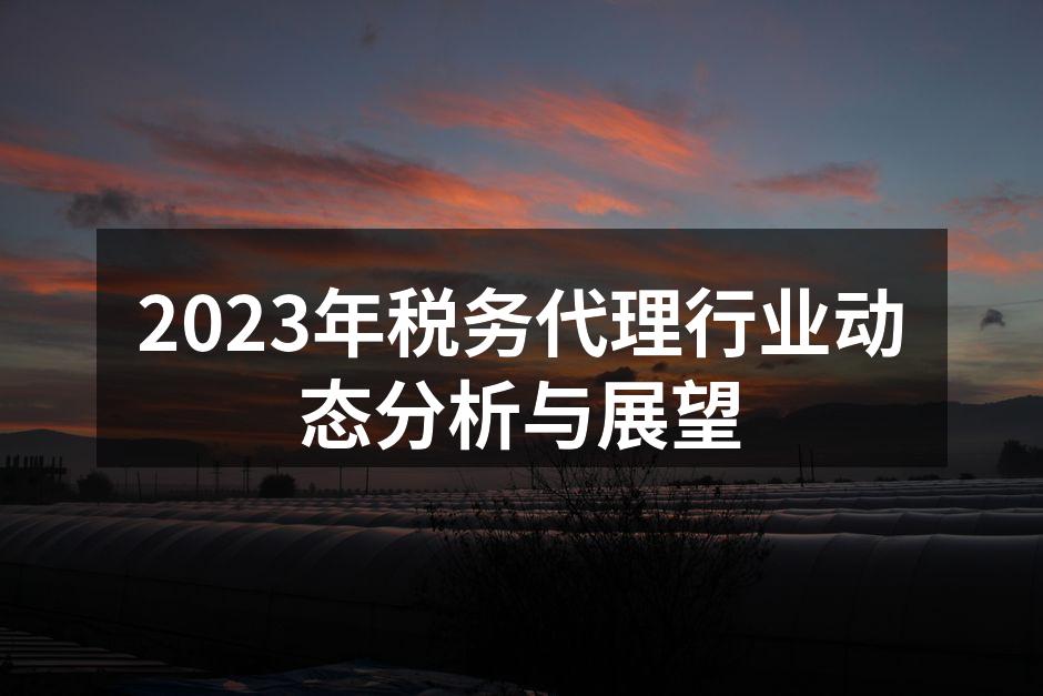2023年税务代理行业动态分析与展望